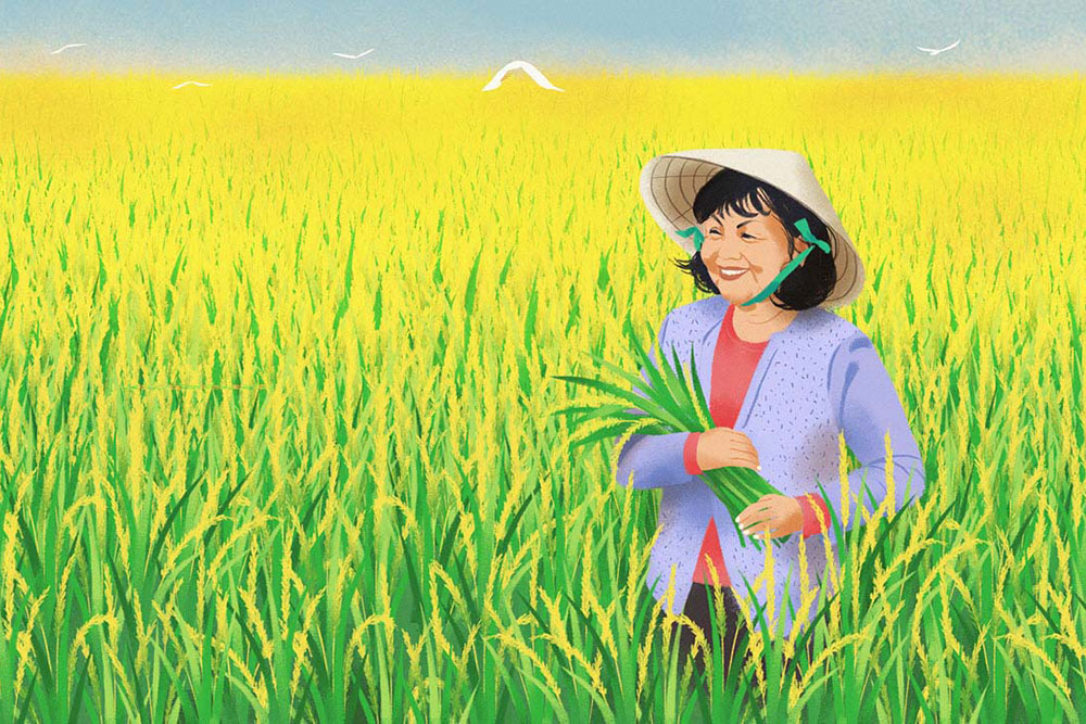 Vẽ tranh vẽ người nông dân với đường nét đậm nét nhạt vẽ bác nông dân đang  gặt lúa