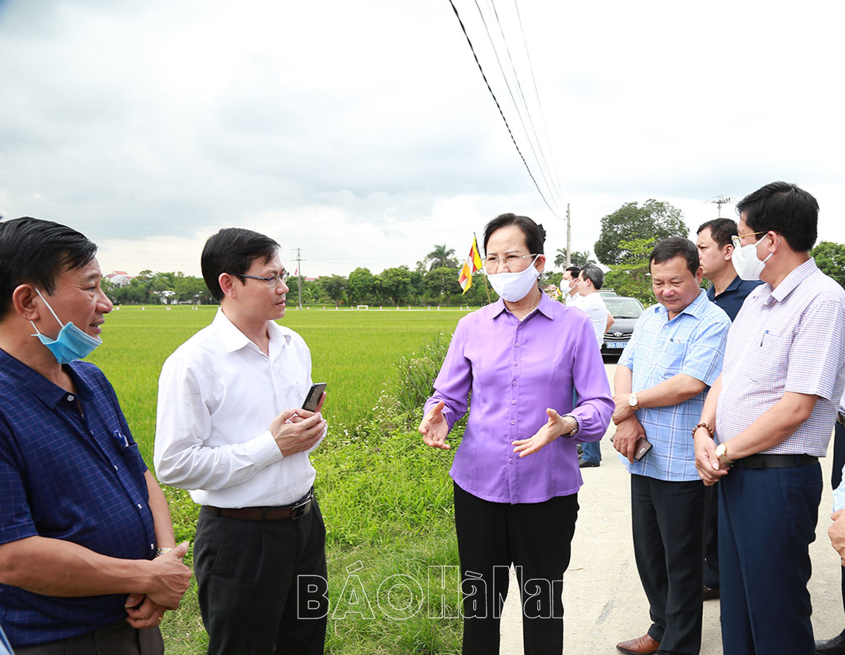 Đồng chí Bí thư Tỉnh ủy Lê Thị Thủy làm việc với đoàn doanh nghiệp khảo sát sản xuất nông nghiệp tại tỉnh