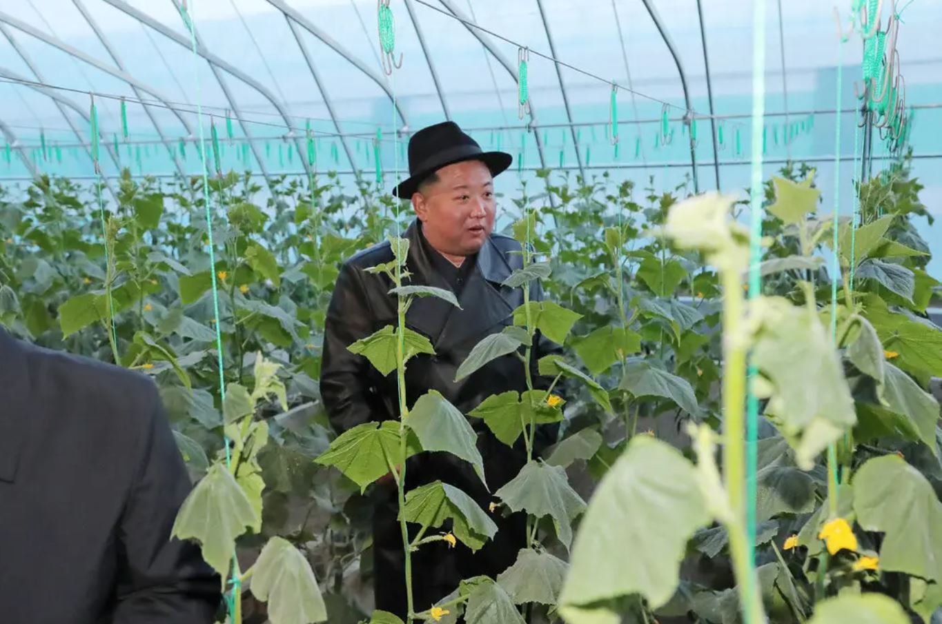 Chống khủng hoảng lương thực Triều Tiên điều binh sĩ trợ giúp nhà nông