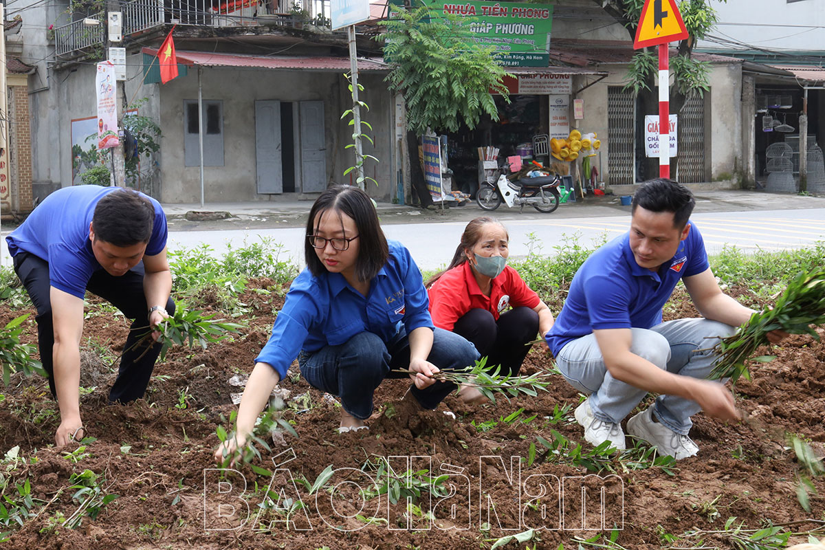 Hội Chữ thập đỏ tỉnh tổ chức chương trình trồng hoa tại khu giãn dân thôn Đồng Sơn xã Liên Sơn